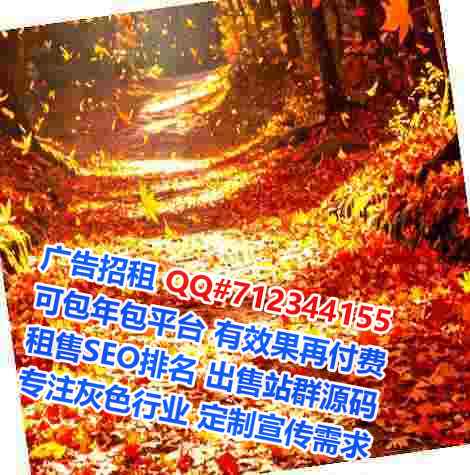 名山借腹生子箱包公司